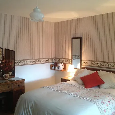 Green Lane House Карлоу