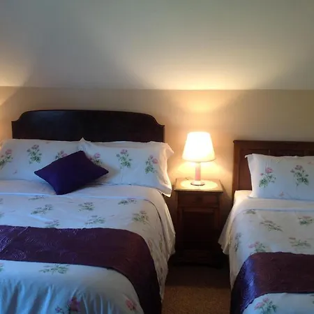 Green Lane House 4* Карлоу