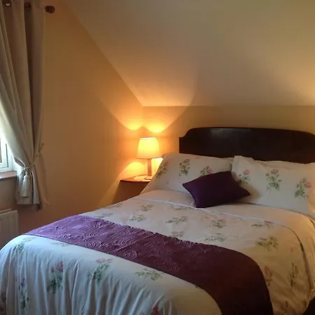 Green Lane House Карлоу